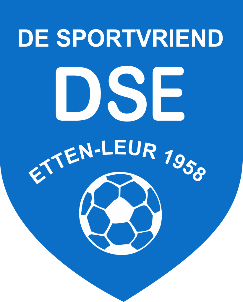 dse logo